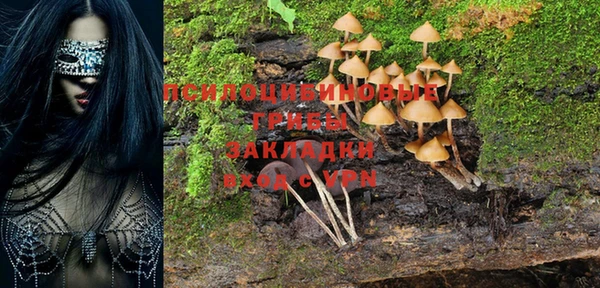 молекула духа Балабаново