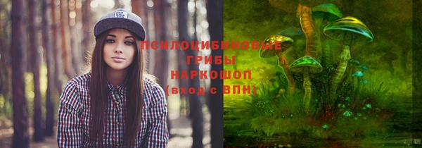 молекула духа Балабаново